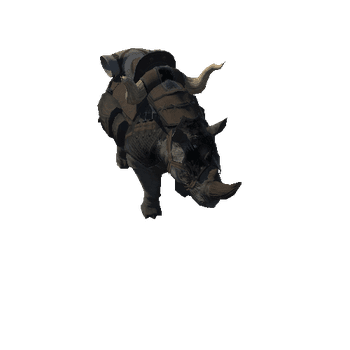 rhino_death