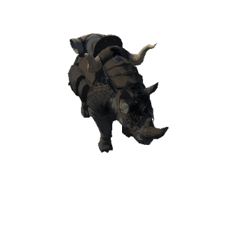 rhino_idle_01