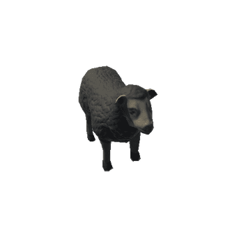 Sheep_Black