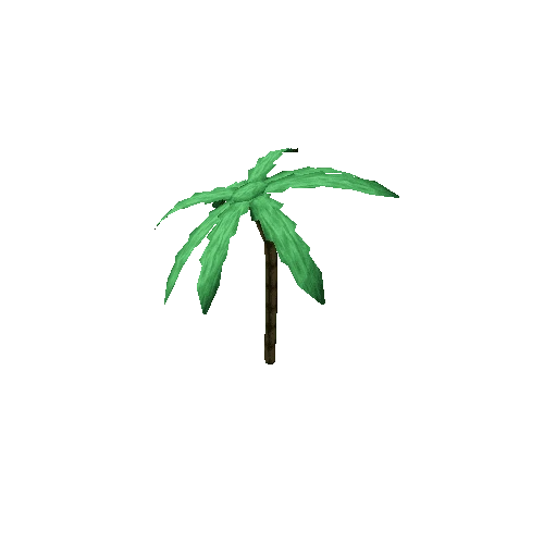 PalmTree