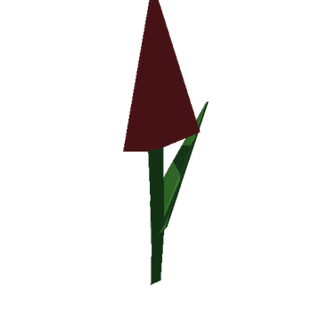 Flower_tulip_red_mat