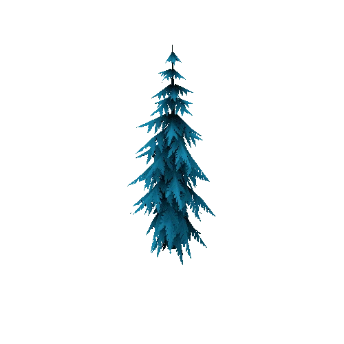 Spruce_1