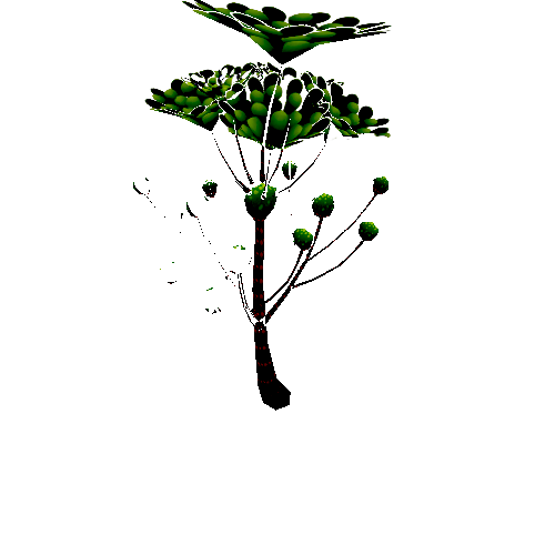 Tree_02b_1