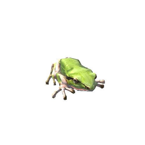 FrogZForwardSkin