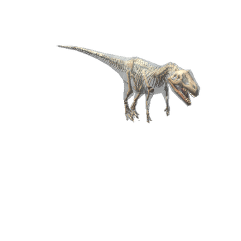 Allosaurus