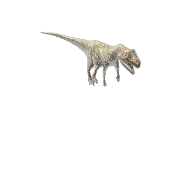 Allosaurus2Ragdoll