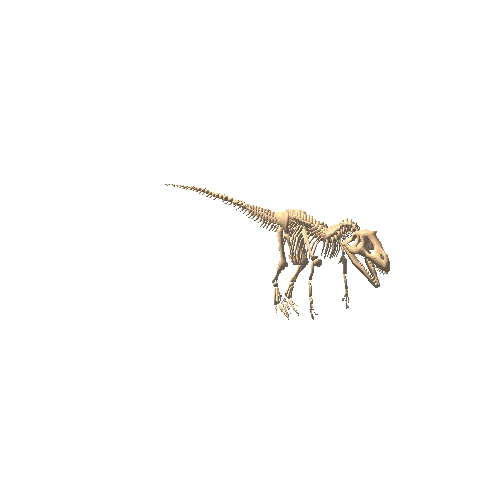 AllosaurusSkeletonRagdoll