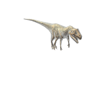 AllosaurusWithScript2