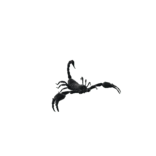 ScorpionModelLowPoly