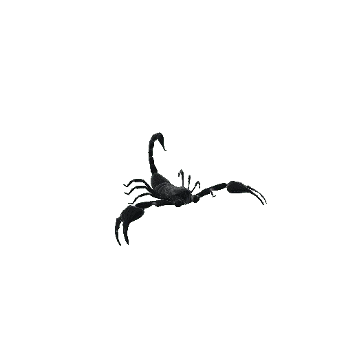 ScorpionModelMiddlePoly