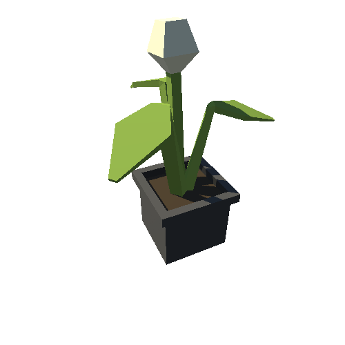 SO_Plant_04