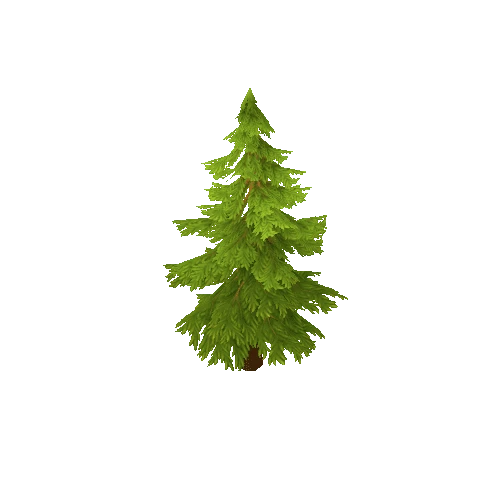 Pine_tree