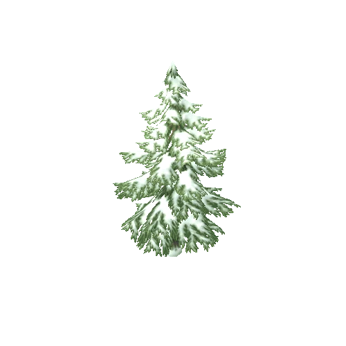 Pine_tree_snowy