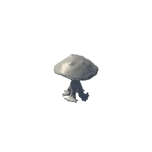 Mushroom_v2