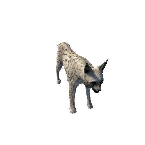 Lynx_SV_RM_MX_SLP_White_Fur