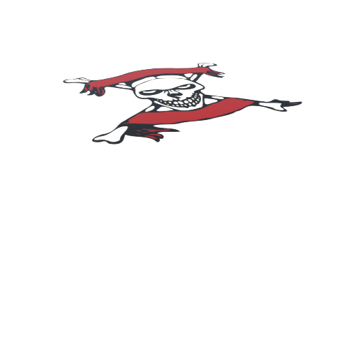 PirateDecal3