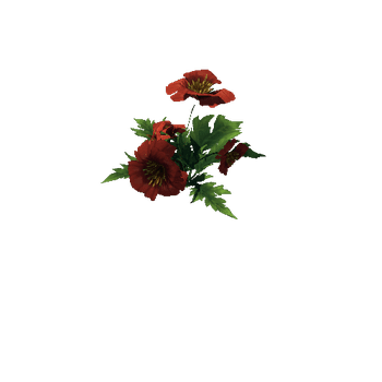 Poppy_Red_01_1_2