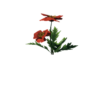 Poppy_Red_05_1_2