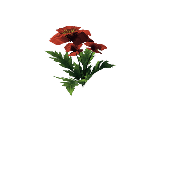 Poppy_Red_06_1_2