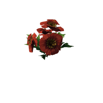 Poppy_Red_09_1