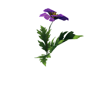 Poppy_Violet_04_1