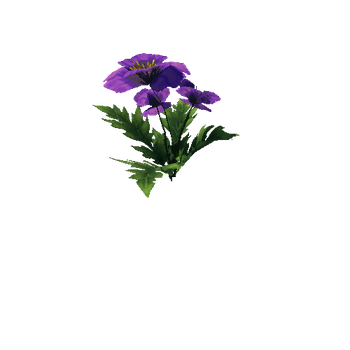 Poppy_Violet_06_1_2