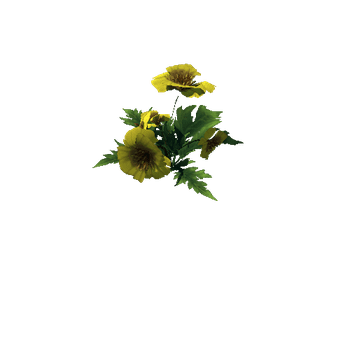 Poppy_Yellow_01_1