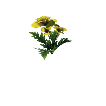 Poppy_Yellow_06_1_2