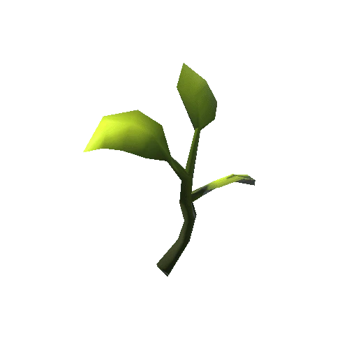 plant01_green