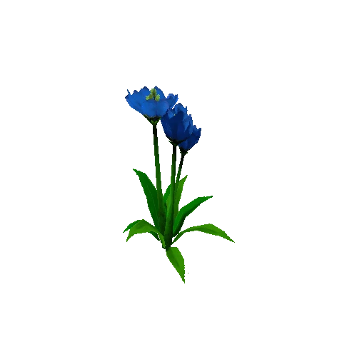 Peony_Blue_03