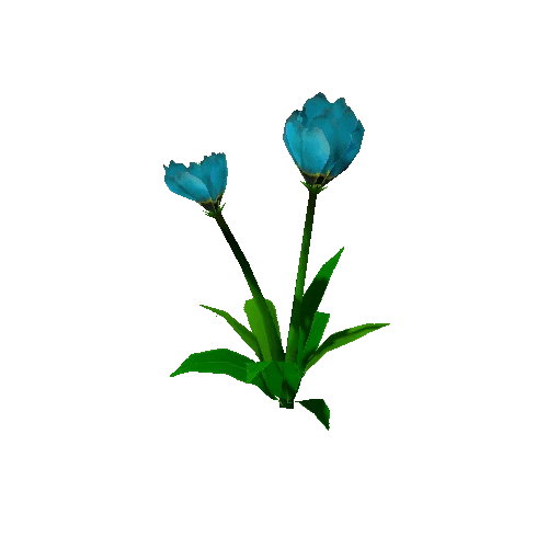 Peony_LBlue_02