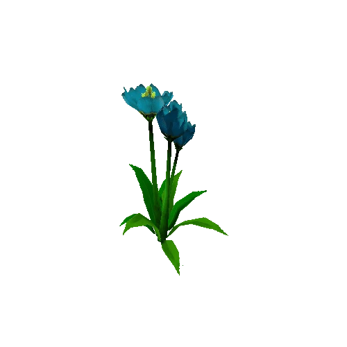 Peony_LBlue_03