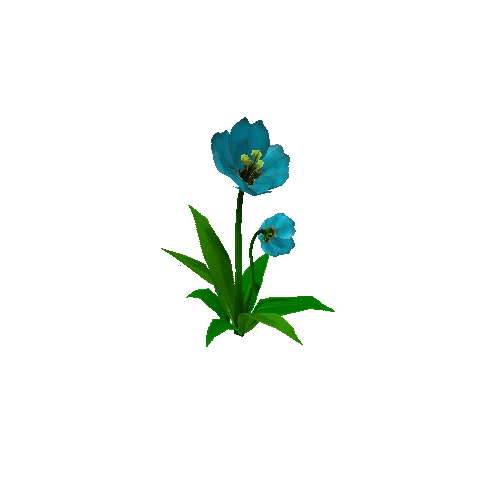 Peony_LBlue_05