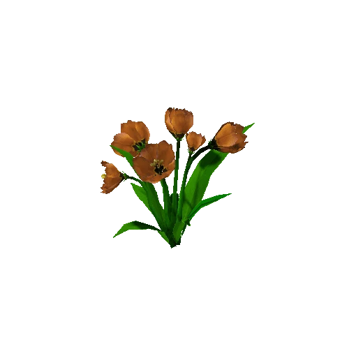 Peony_Orange_00