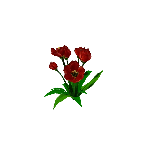 Peony_Red_09