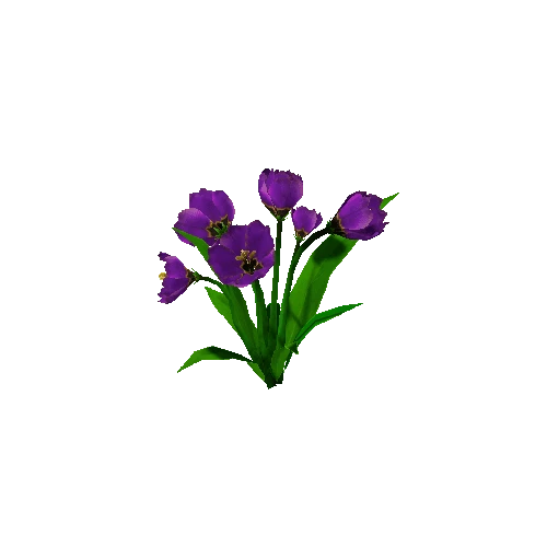 Peony_Violet_00