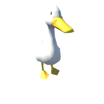 duck@idle01