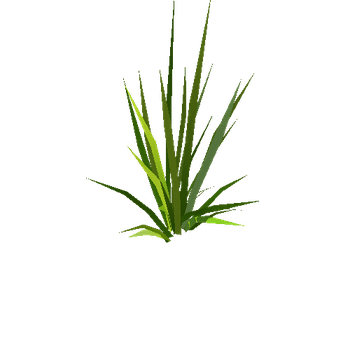 med_grass