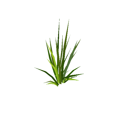 med_grass