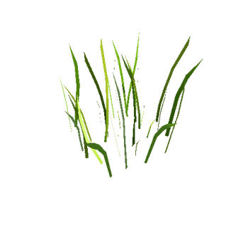 spars_grass