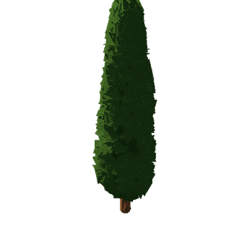 cypress01a