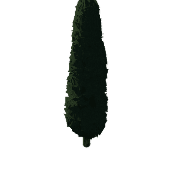 cypress01b