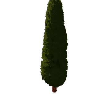 cypress01c