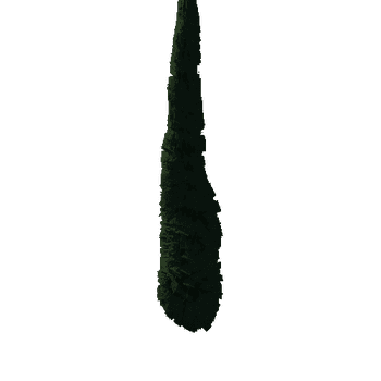 cypress02b