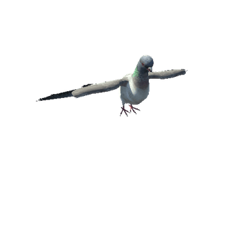 PigeonVer1.4MiddlePoly