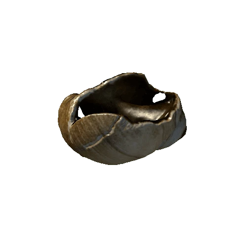 seashell5_LOD0