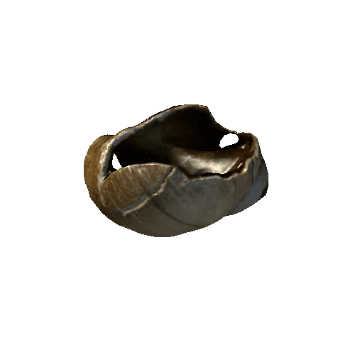 seashell5_LOD1