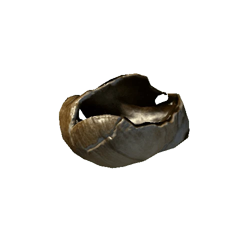 seashell5_LOD2