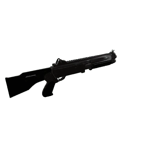 Shotgun_6