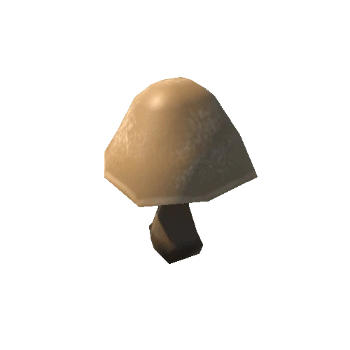 Mushroom_Mushroom_C